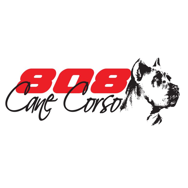 808 Caine Corso – Logo